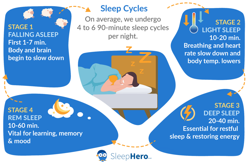 sleep cycle